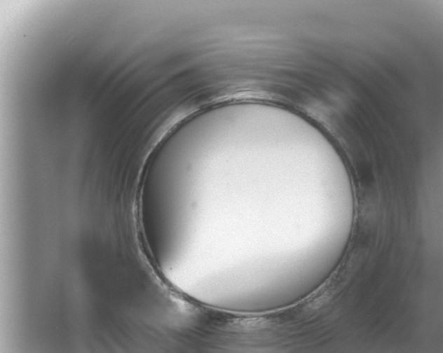 X0000067901282200604171353