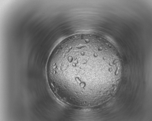 X0000067901283200604171353