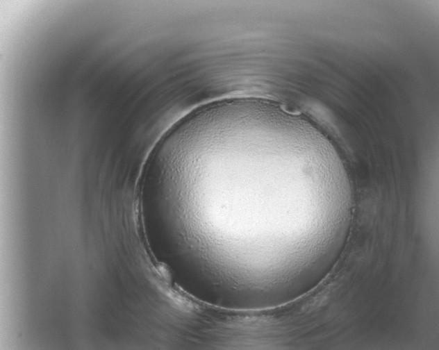 X0000067901284200604171353