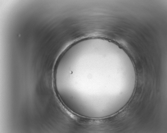 X0000067901286200604171353