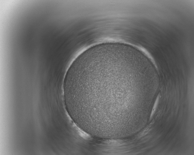 X0000067901287200604171353