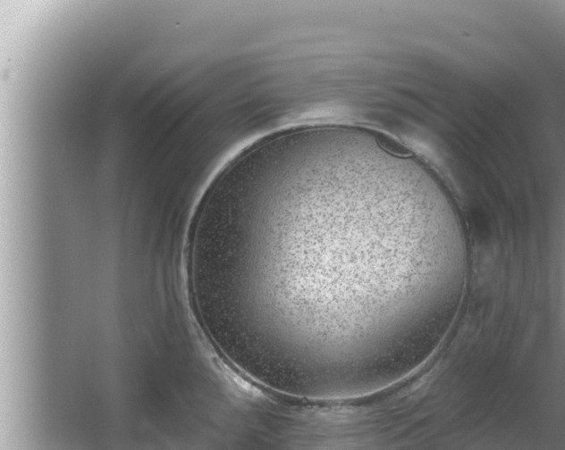 X0000067901288200604171353