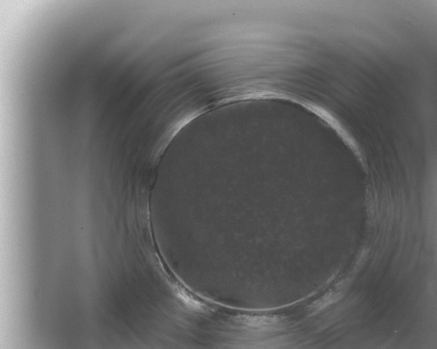 X0000067901289200604171353