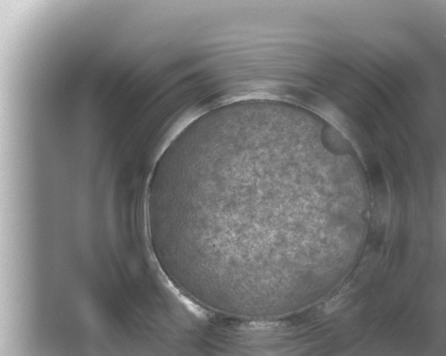 X0000067901290200604171353