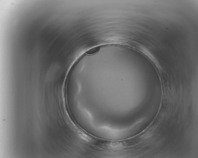 X0000067901291200604171353