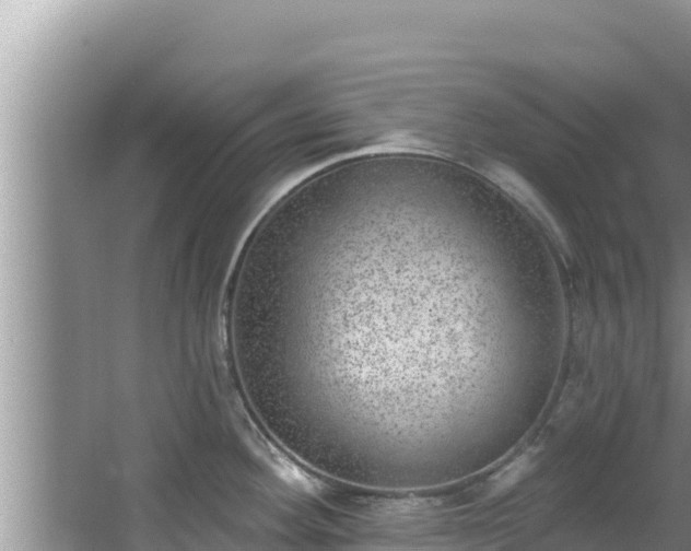 X0000067901292200604171353