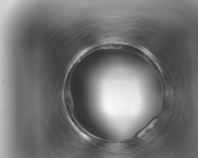 X0000067901293200604171353