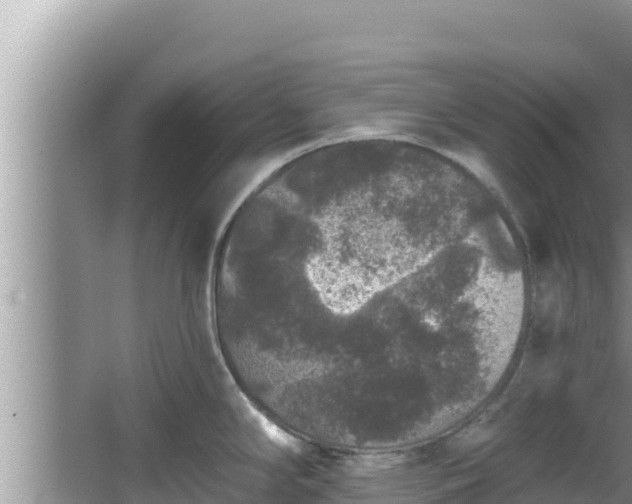 X0000067901294200604171353