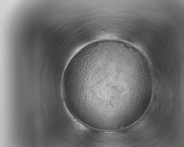 X0000067901295200604171353