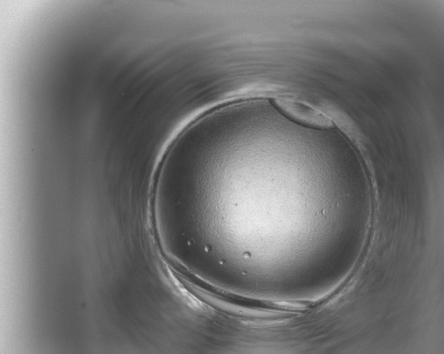 X0000067901296200604171353