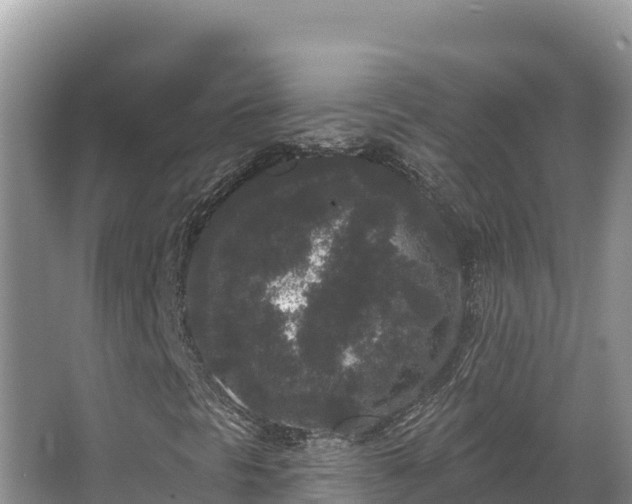 X0000067901297200604171352