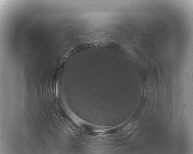 X0000067901298200604171352