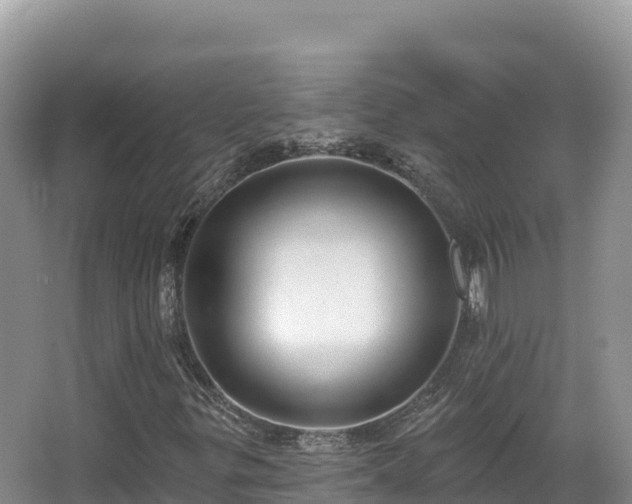 X0000067901299200604171352