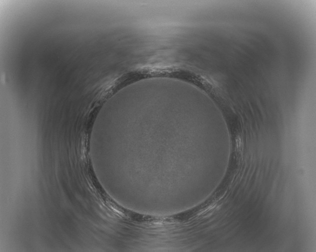 X0000067901300200604171352