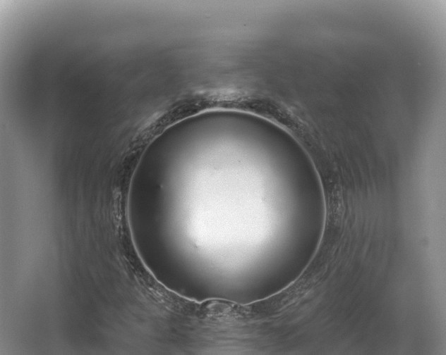 X0000067901301200604171352