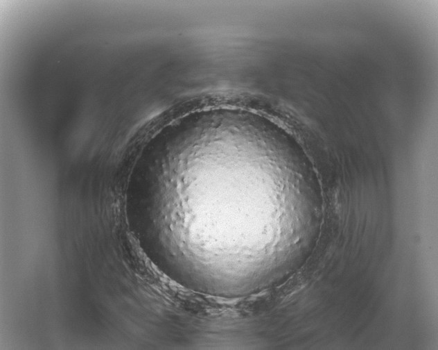 X0000067901302200604171352