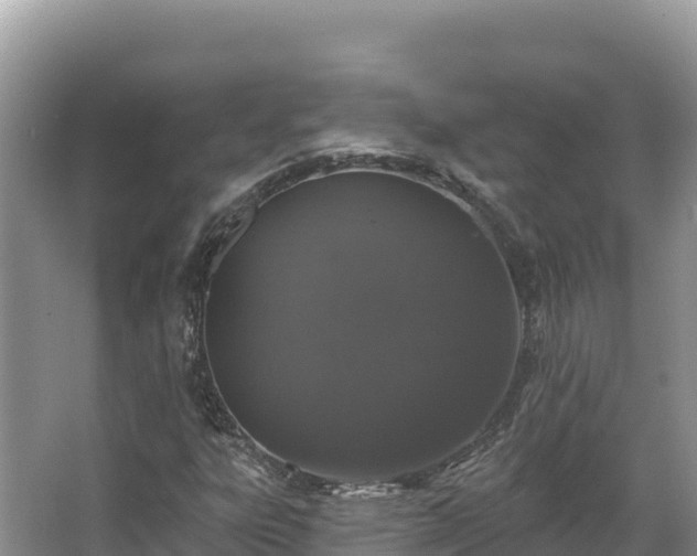 X0000067901303200604171352