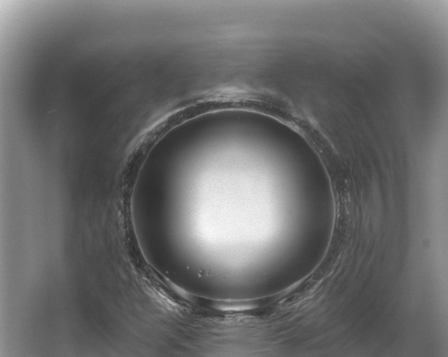 X0000067901304200604171352