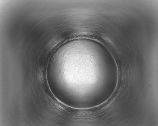 X0000067901305200604171352