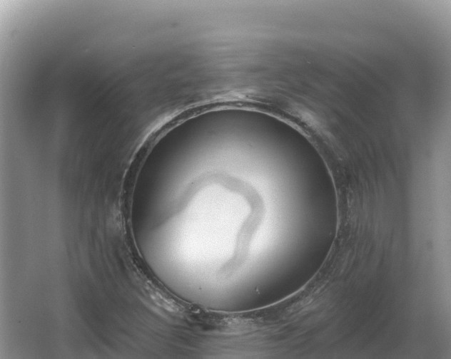 X0000067901308200604171352