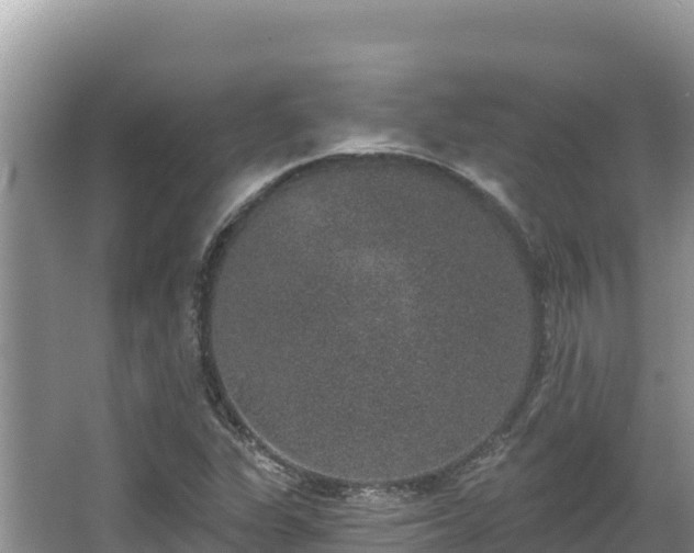 X0000067901311200604171352