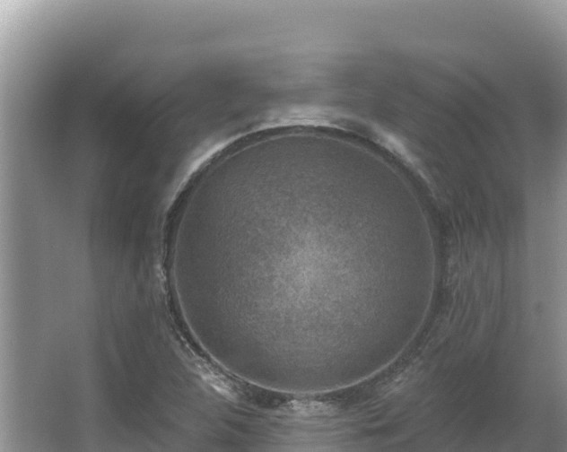 X0000067901312200604171352