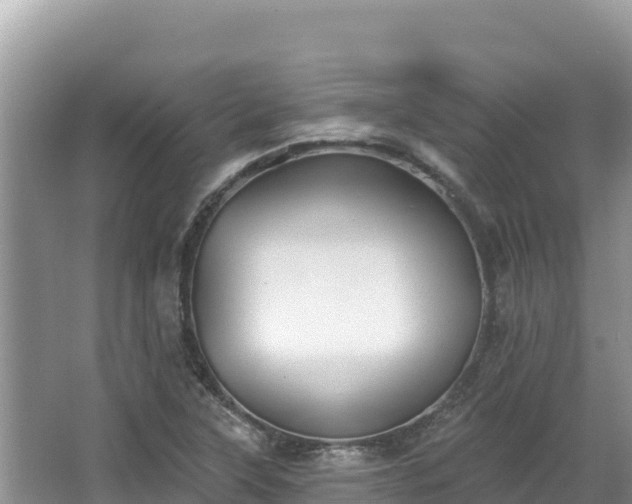 X0000067901315200604171353