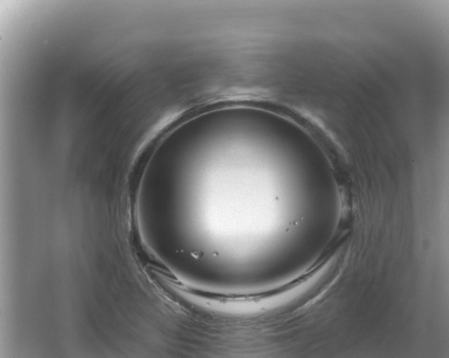 X0000067901317200604171353