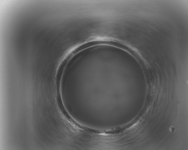 X0000067901319200604171353