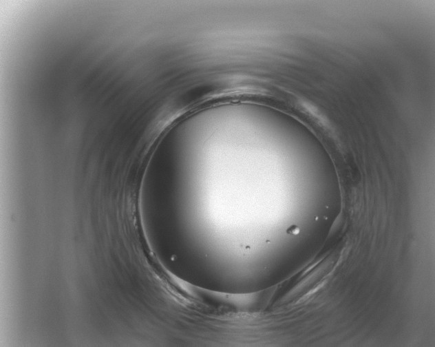 X0000067901321200604171353