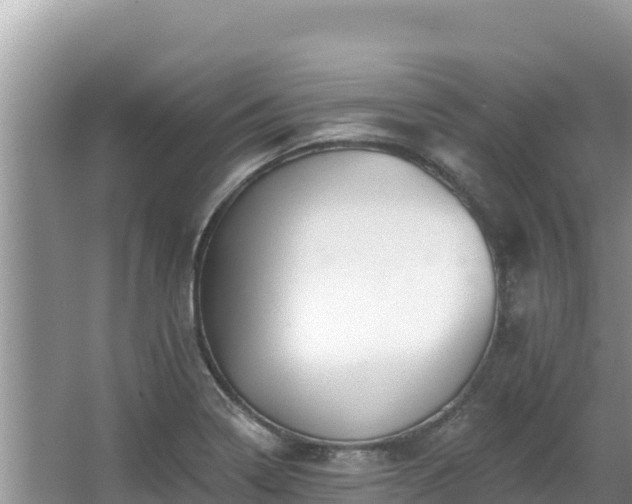 X0000067901322200604171353