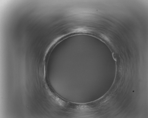 X0000067901323200604171353