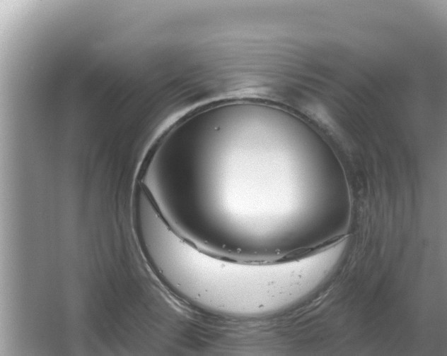 X0000067901324200604171353