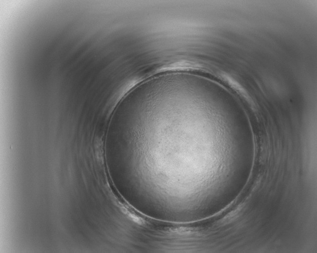 X0000067901329200604171353