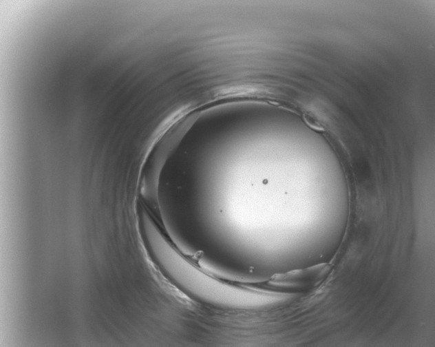 X0000067901330200604171353