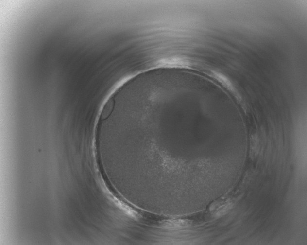 X0000067901331200604171353