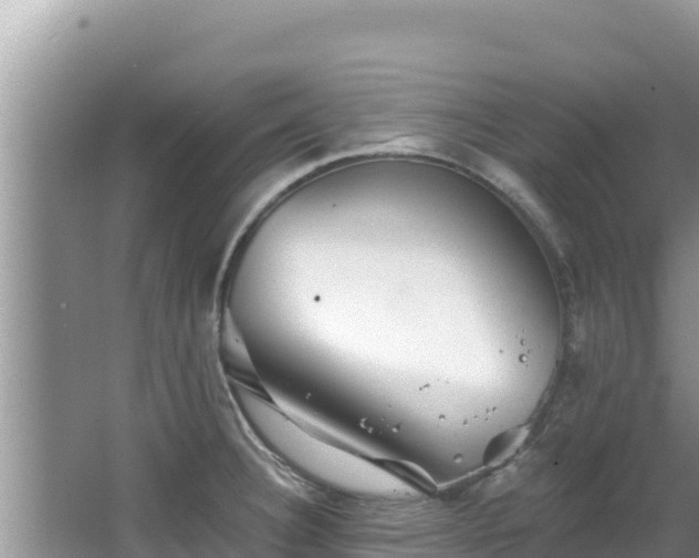 X0000067901332200604171353