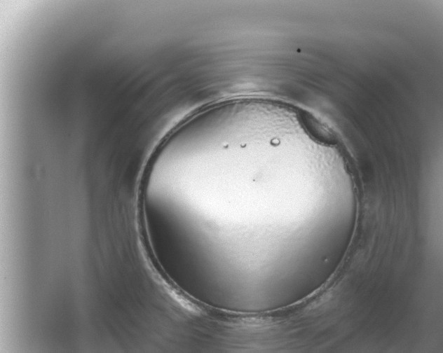 X0000067901333200604171353