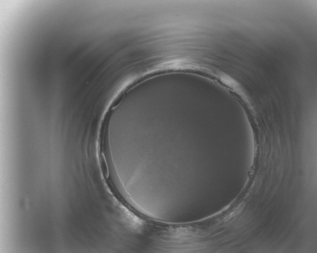 X0000067901334200604171353