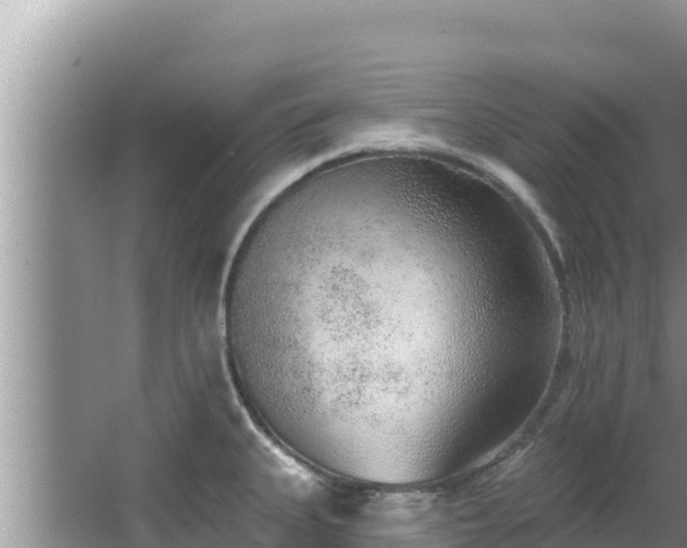 X0000067901335200604171353