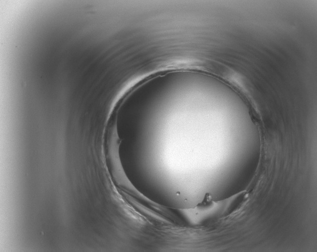 X0000067901336200604171353