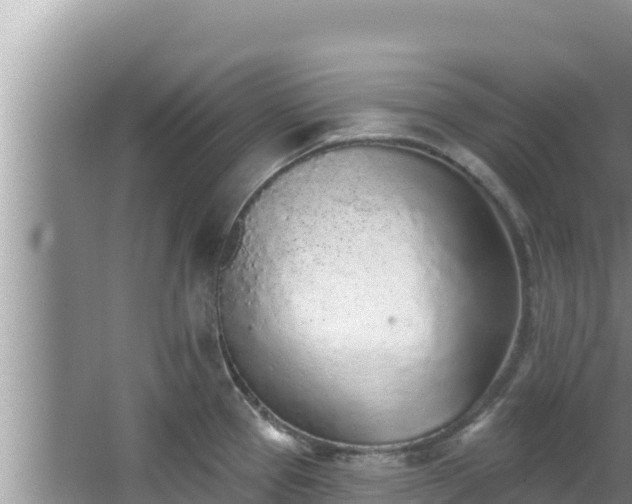 X0000067901337200604171353