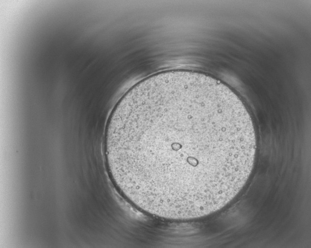 X0000067901338200604171353