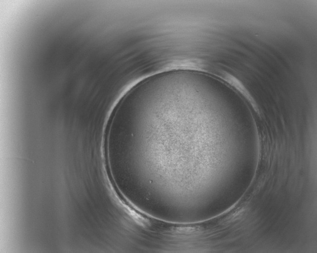 X0000067901339200604171353