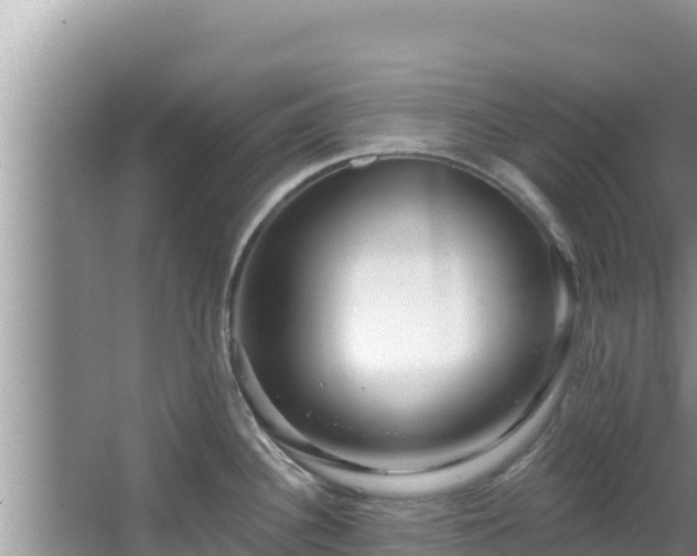 X0000067901340200604171353