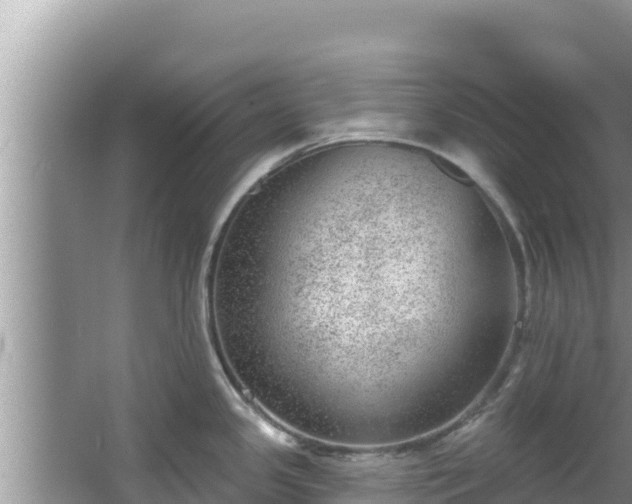 X0000067901341200604171353