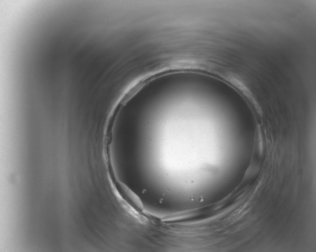 X0000067901342200604171353