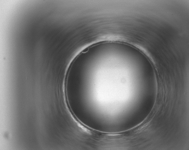 X0000067901343200604171353