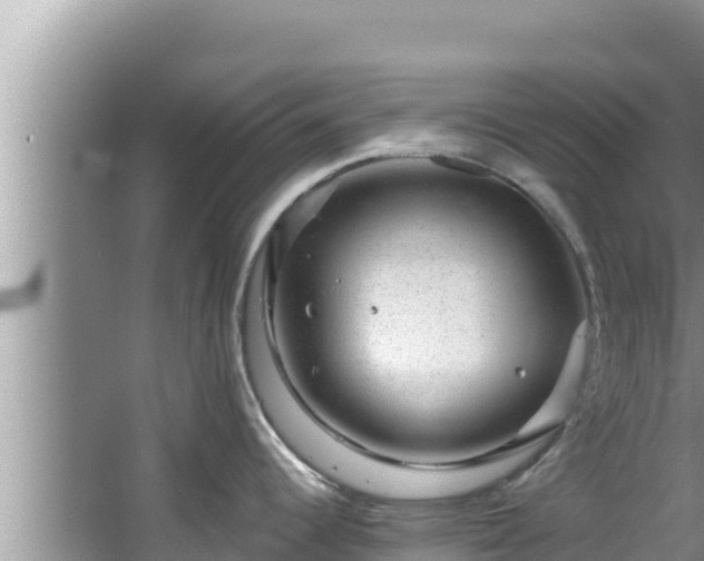 X0000067901344200604171353