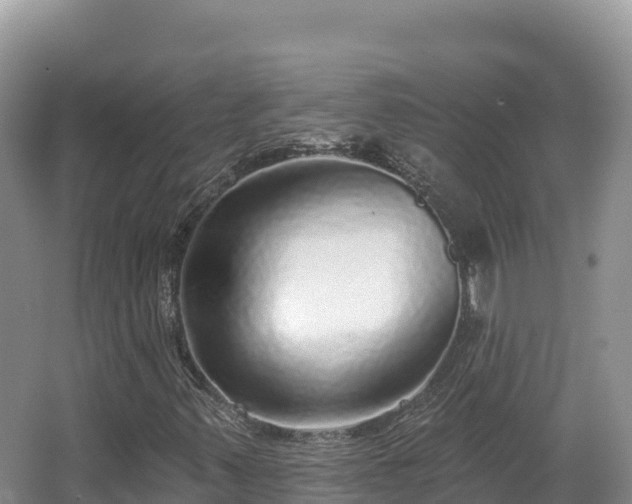 X0000067901347200604171352